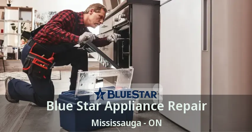 Blue Star Appliance Repair Mississauga - ON