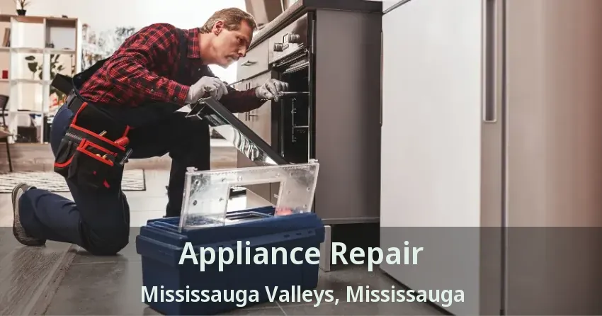 Appliance Repair Mississauga Valleys, Mississauga - ON