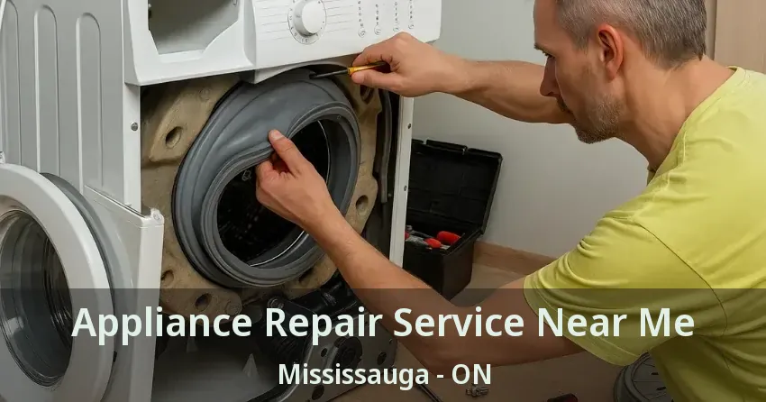Appliance Repair Service Near Me Mississauga - ON