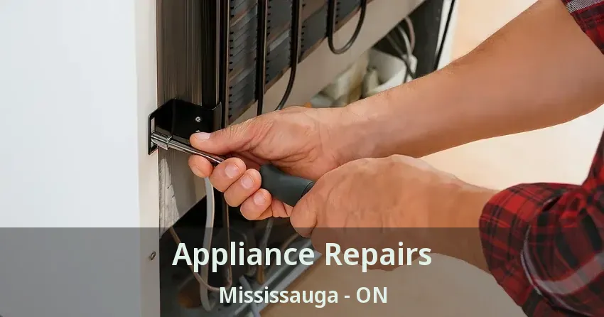 Appliance Repairs Mississauga - ON