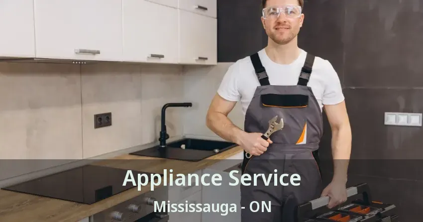Appliance Service Mississauga - ON