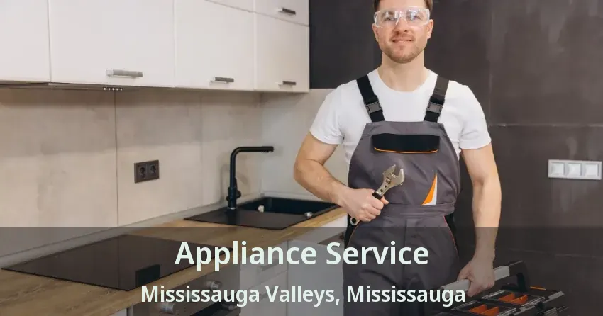 Appliance Service Mississauga Valleys, Mississauga - ON