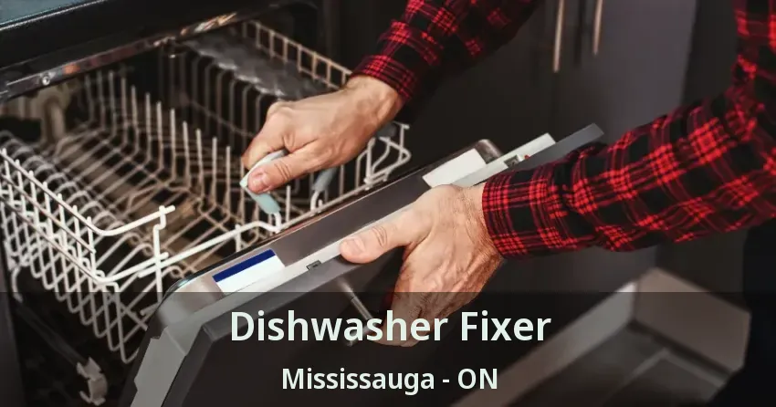 Dishwasher Fixer Mississauga - ON