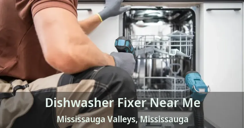 Dishwasher Fixer Near Me Mississauga Valleys, Mississauga - ON