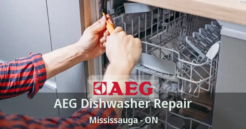 AEG Dishwasher Repair Mississauga - ON