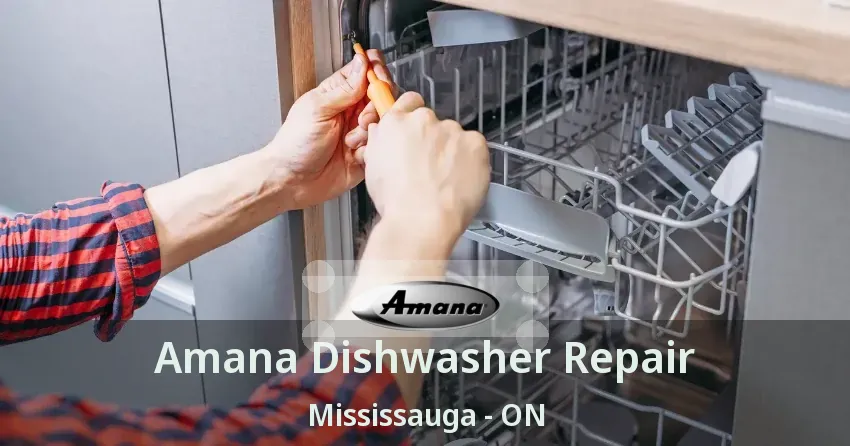 Amana Dishwasher Repair Mississauga - ON