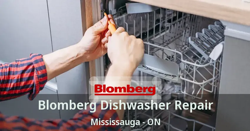 Blomberg Dishwasher Repair Mississauga - ON