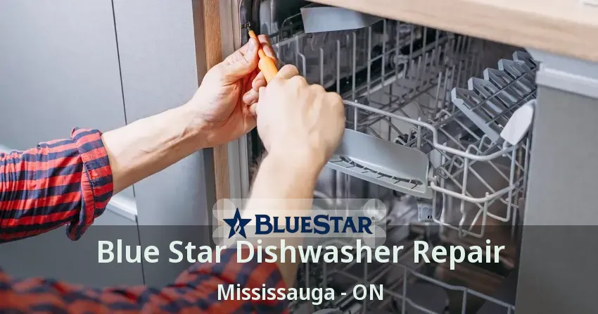 Blue Star Dishwasher Repair Mississauga - ON