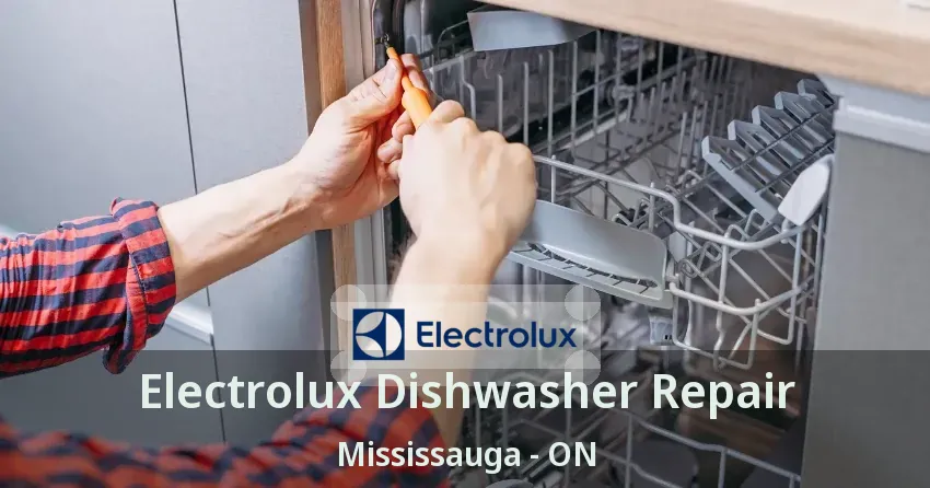 Electrolux Dishwasher Repair Mississauga - ON
