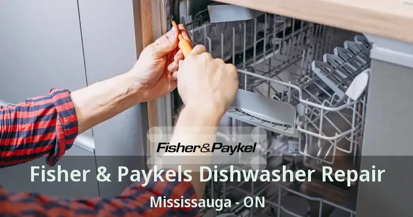 Fisher & Paykels Dishwasher Repair Mississauga - ON
