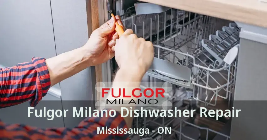 Fulgor Milano Dishwasher Repair Mississauga - ON