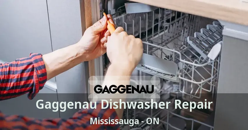 Gaggenau Dishwasher Repair Mississauga - ON