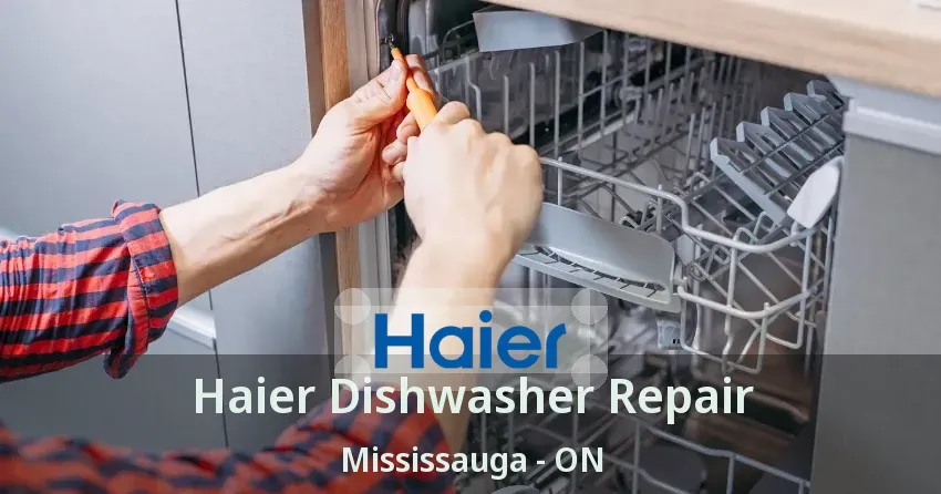 Haier Dishwasher Repair Mississauga - ON