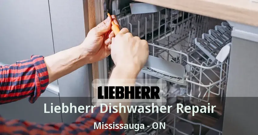 Liebherr Dishwasher Repair Mississauga - ON