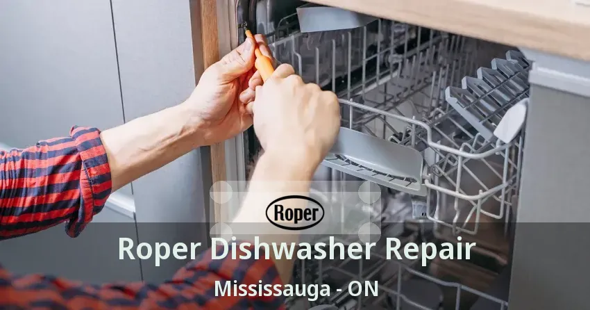 Roper Dishwasher Repair Mississauga - ON