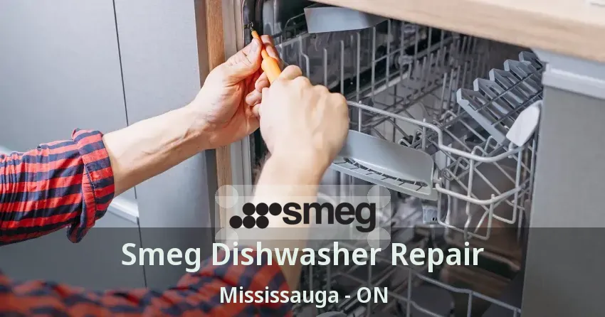 Smeg Dishwasher Repair Mississauga - ON