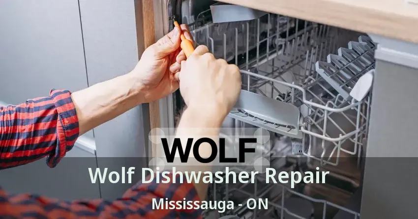 Wolf Dishwasher Repair Mississauga - ON