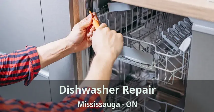 Dishwasher Repair Mississauga - ON