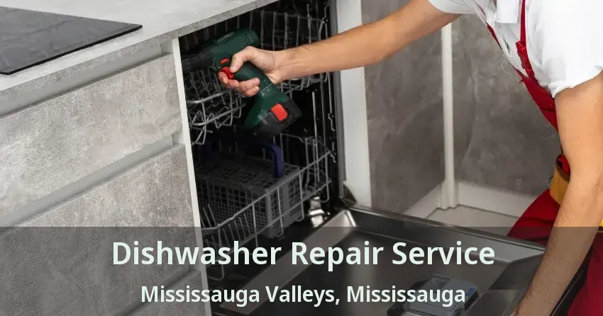 Dishwasher Repair Service Mississauga Valleys, Mississauga - ON