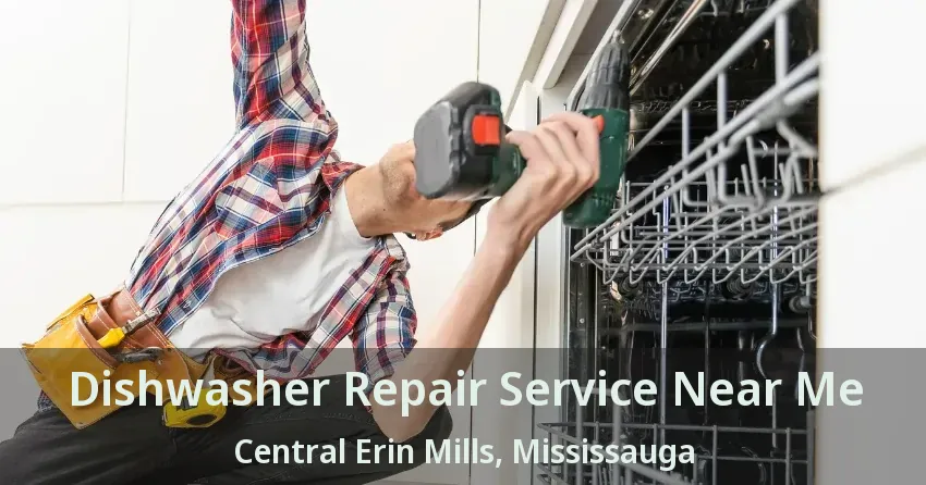 Dishwasher Repair Service Near Me Central Erin Mills, Mississauga - ON