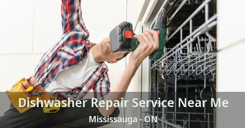 Dishwasher Repair Service Near Me Mississauga - ON
