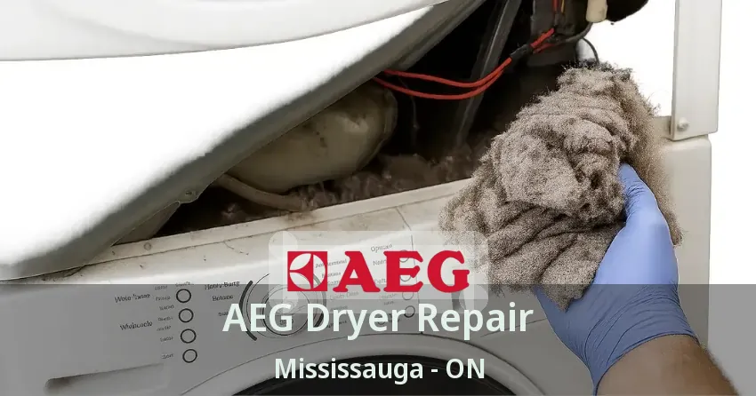 AEG Dryer Repair Mississauga - ON