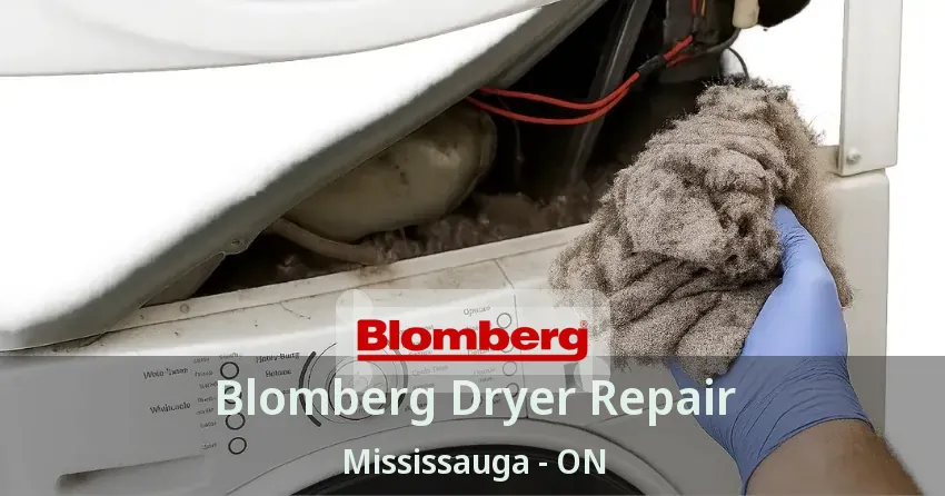 Blomberg Dryer Repair Mississauga - ON