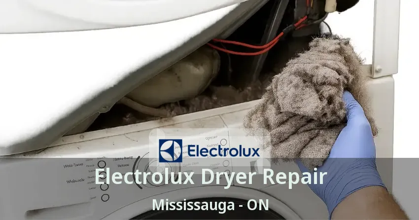 Electrolux Dryer Repair Mississauga - ON