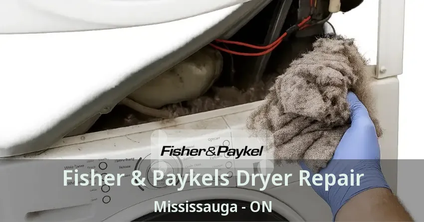 Fisher & Paykels Dryer Repair Mississauga - ON