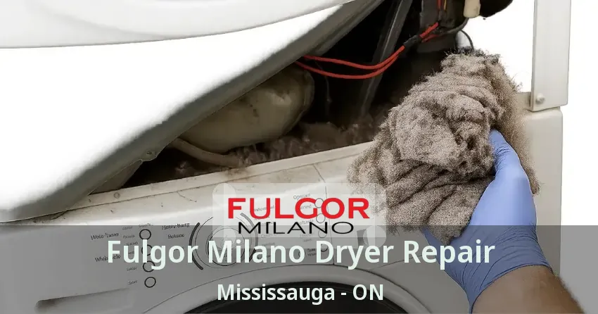 Fulgor Milano Dryer Repair Mississauga - ON