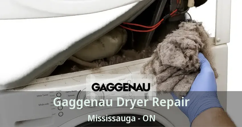 Gaggenau Dryer Repair Mississauga - ON
