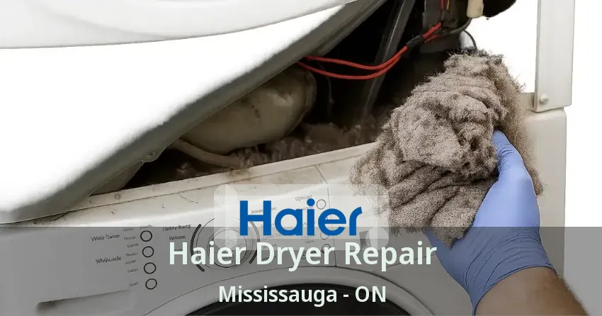 Haier Dryer Repair Mississauga - ON