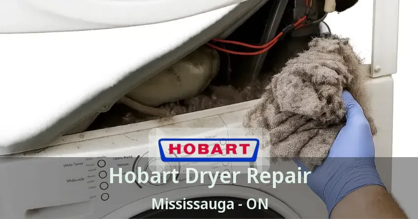Hobart Dryer Repair Mississauga - ON