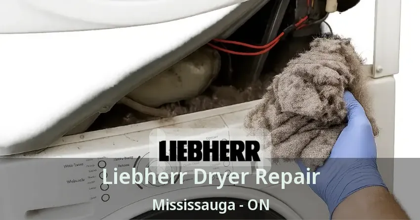 Liebherr Dryer Repair Mississauga - ON