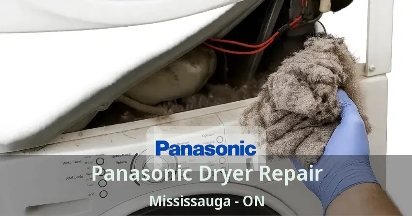 Panasonic Dryer Repair Mississauga - ON