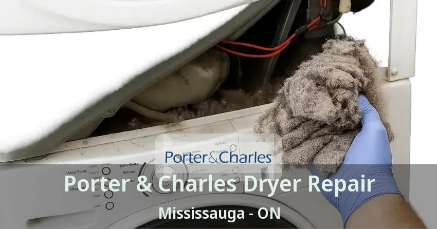 Porter & Charles Dryer Repair Mississauga - ON