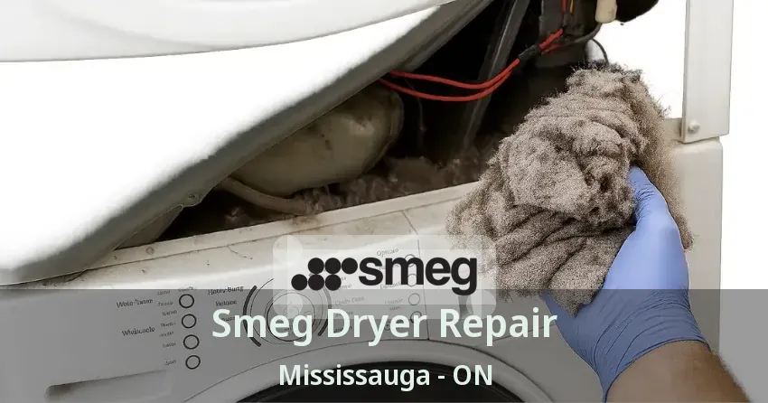 Smeg Dryer Repair Mississauga - ON