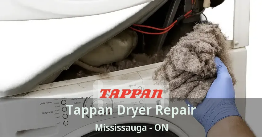Tappan Dryer Repair Mississauga - ON