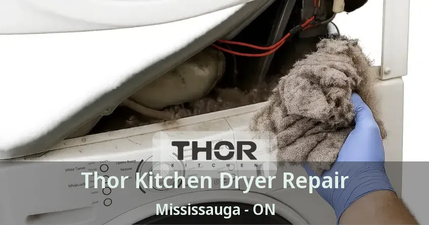 Thor Kitchen Dryer Repair Mississauga - ON