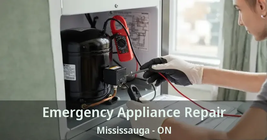 Emergency Appliance Repair Mississauga - ON
