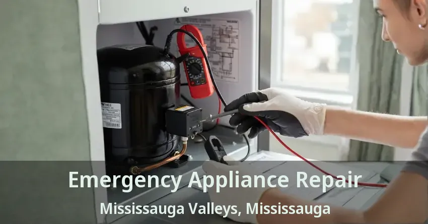 Emergency Appliance Repair Mississauga Valleys, Mississauga - ON
