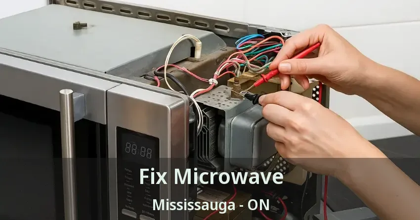 Fix Microwave Mississauga - ON