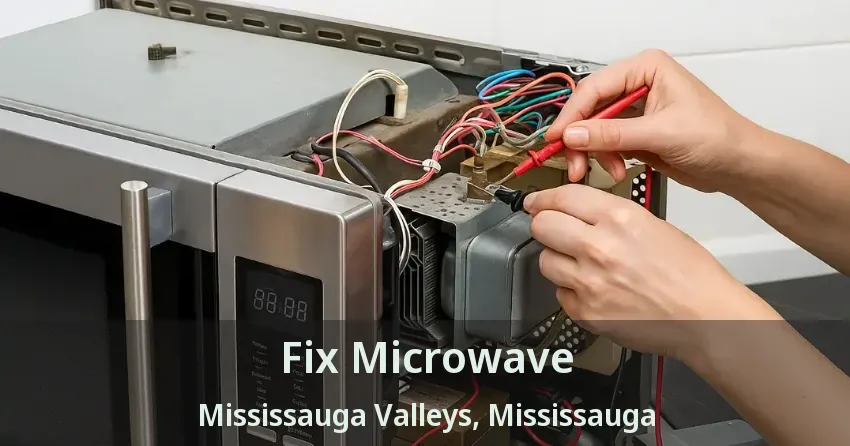 Fix Microwave Mississauga Valleys, Mississauga - ON