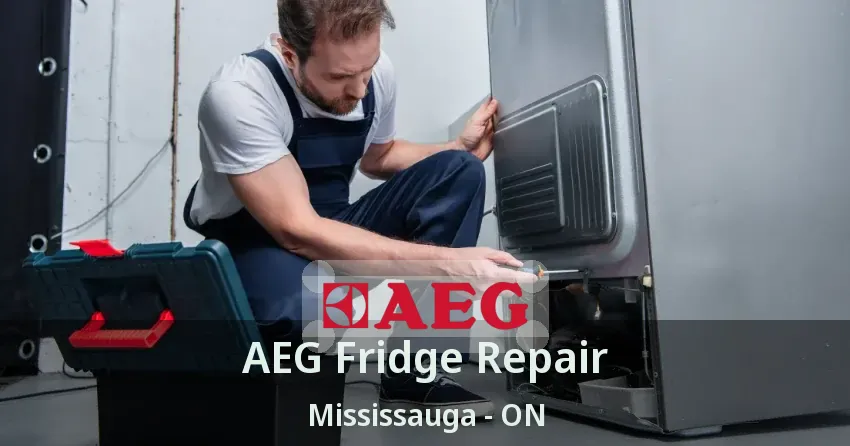 AEG Fridge Repair Mississauga - ON