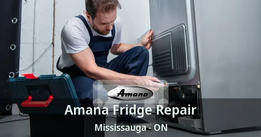 Amana Fridge Repair Mississauga - ON