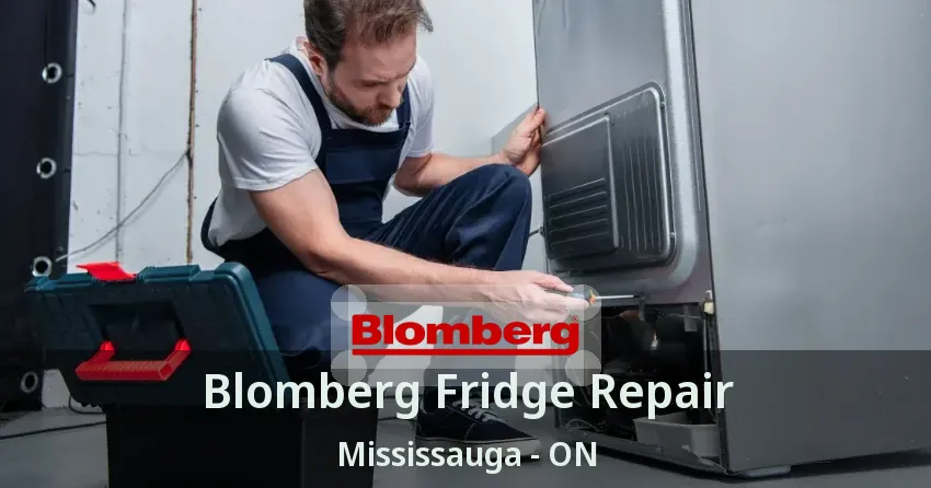 Blomberg Fridge Repair Mississauga - ON