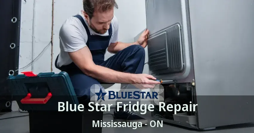 Blue Star Fridge Repair Mississauga - ON