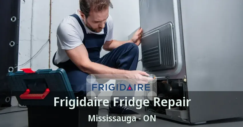 Frigidaire Fridge Repair Mississauga - ON