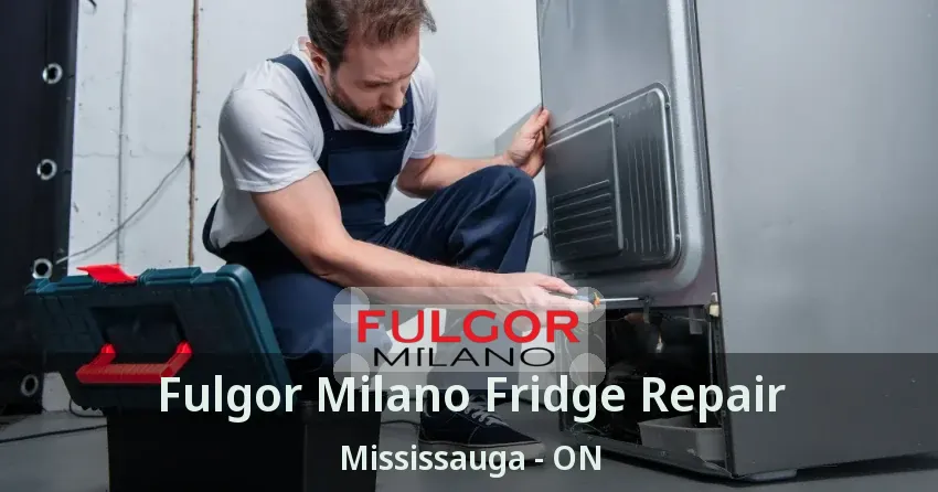 Fulgor Milano Fridge Repair Mississauga - ON