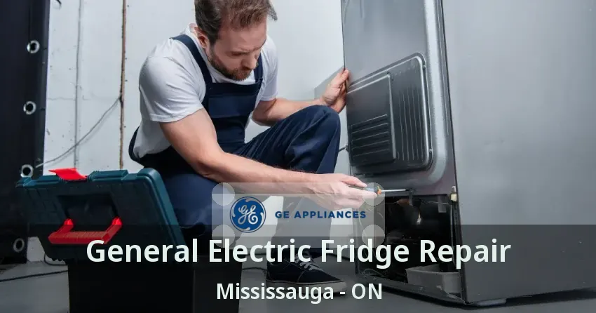 General Electric Fridge Repair Mississauga - ON
